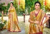 Aadya Silk By Bunawat Kanjivaram Silk With Paithani Pallu Border Saree
